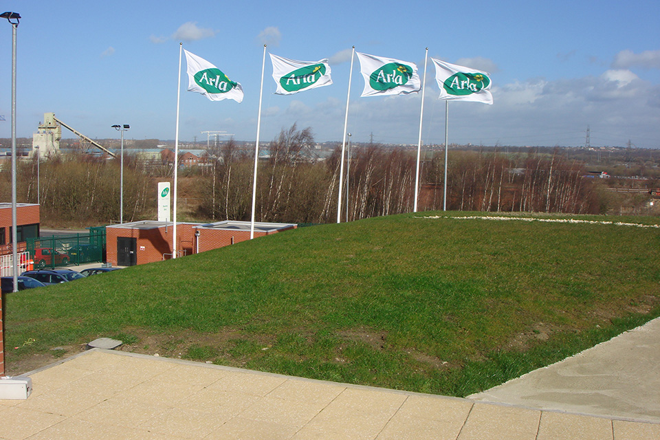 Our Projects - Arla Foods